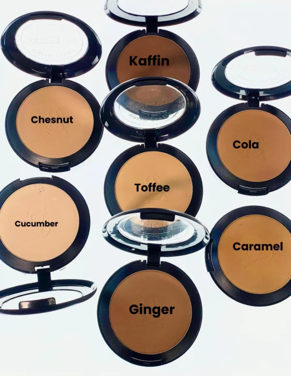 Artskin Mineral Powder